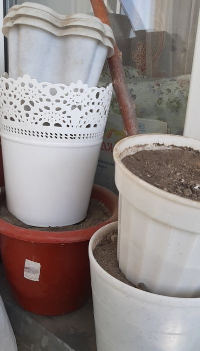 Горшки для комнатных растений