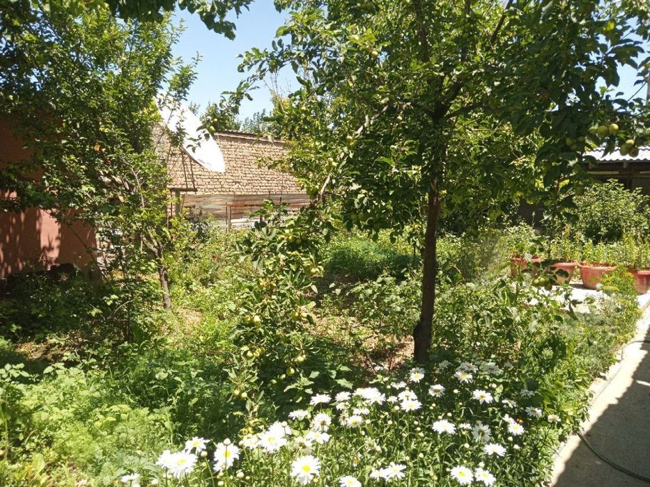 Гулистон туман ишонч бирлашган махалла табасум / таранум19 уй сотилади