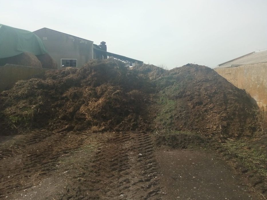 Vand sau Schimb Gunoi de vaci de 4 ani Bio cu certificat EcoCert