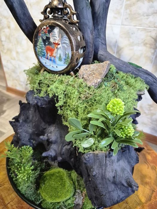 Бонсай ручная работа