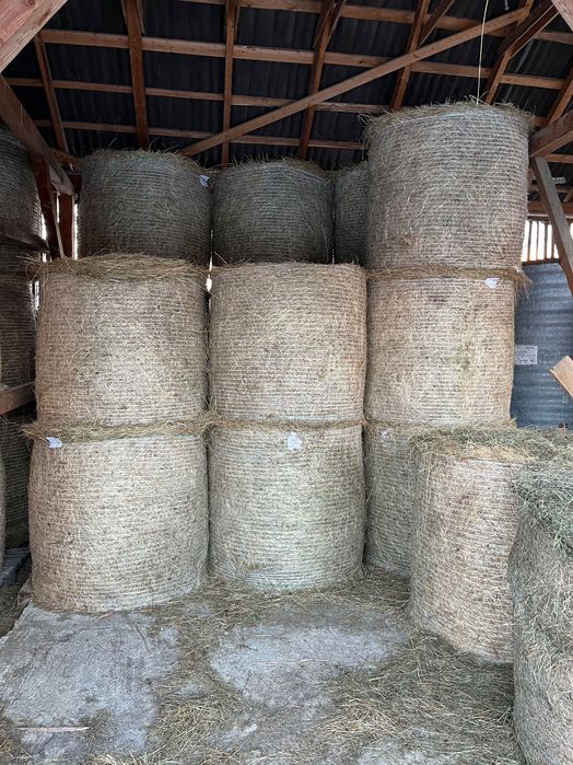 Baloti de fan (de vanzare sau schimb cu vitica)