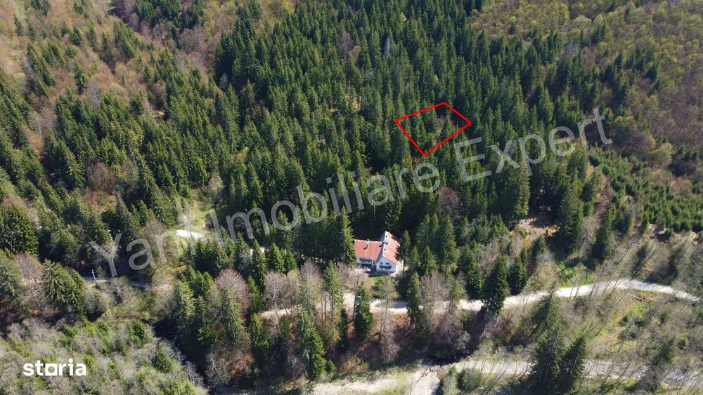 Teren de vânzare pe Valea Vâlsanului, judet Argeș.
