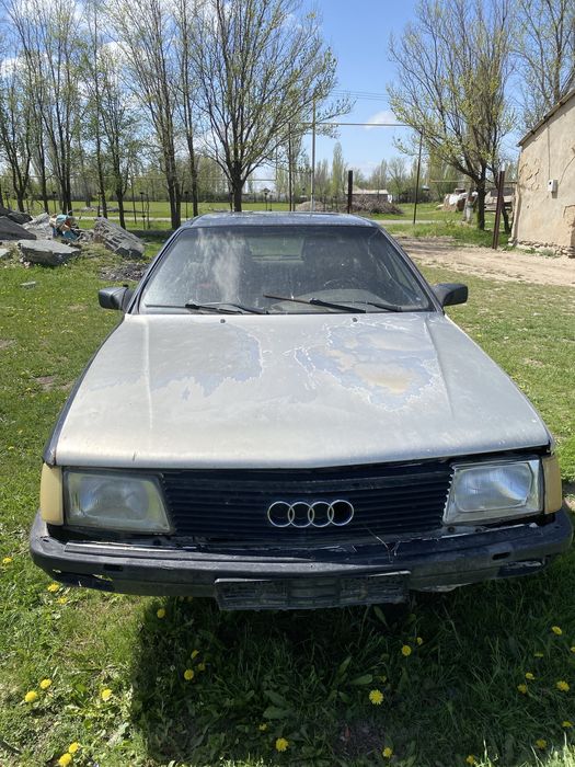 Ауди 100 алам деушілер болса
