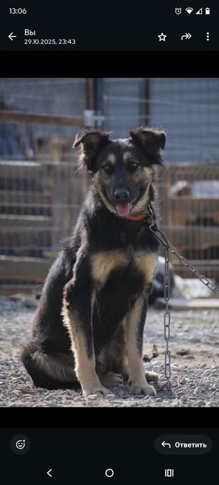 сТорожа, ОхраНики ,ЗвоНочки