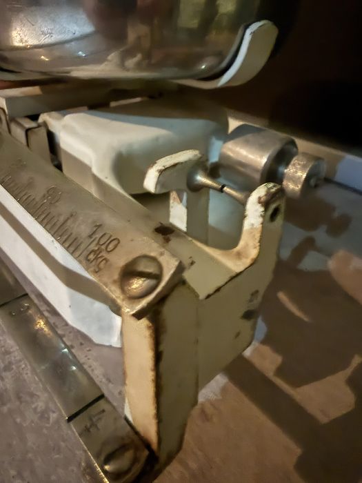 Cantar balanta , vintage