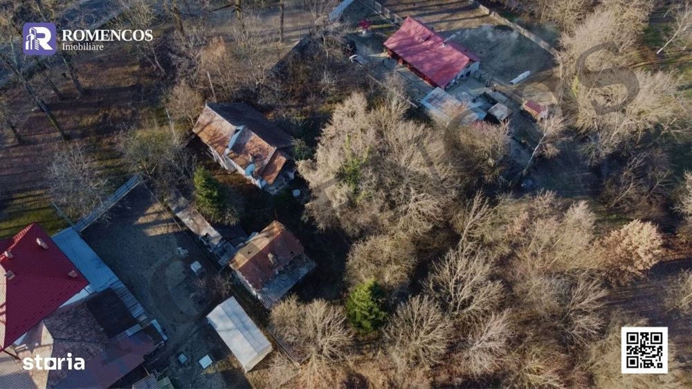 Teren Mihaesti la poarta poarta Parcului Dendrologic - DN73
