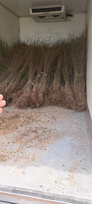 Перевозки на рефрижераторе до 3500кг