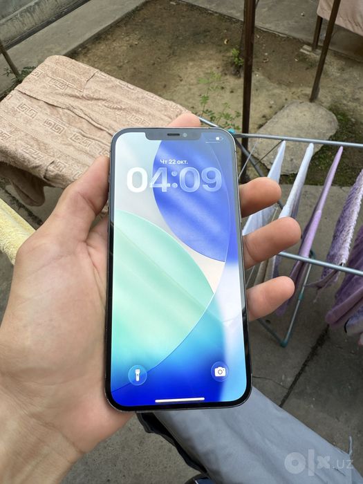 iPhone 12 Pro Max 256Gb 100%