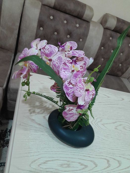 Dekorativniy suniiy gullar