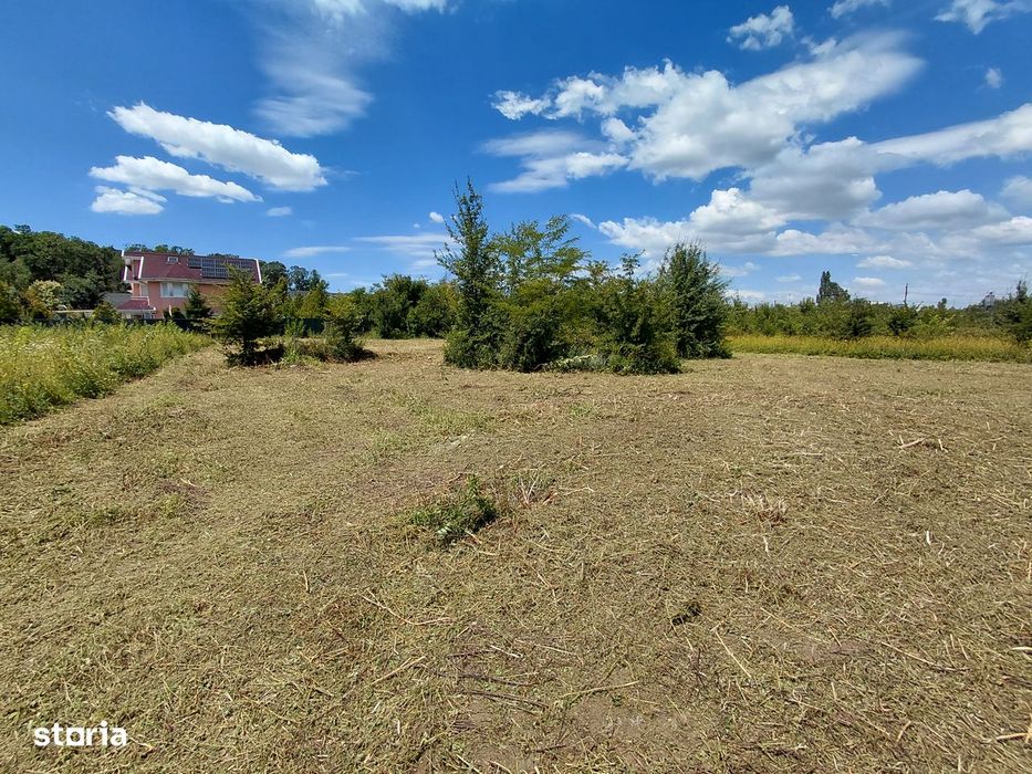 inchiriere 1300mp teren Baneasa Teisani