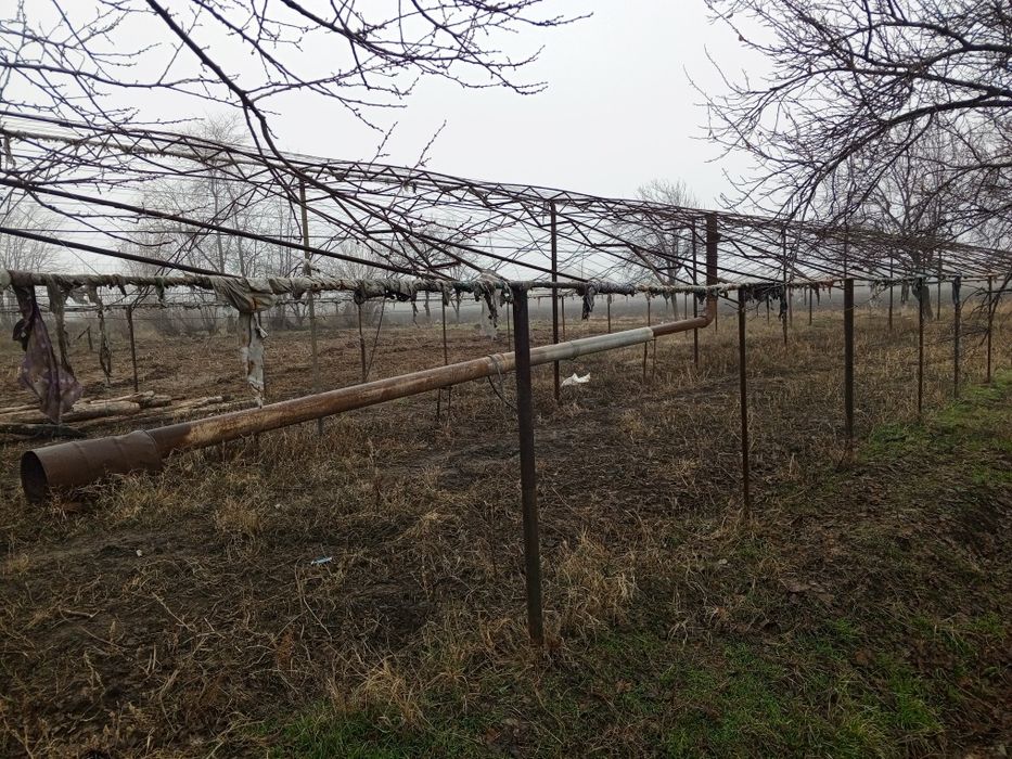 Продаётся теплица