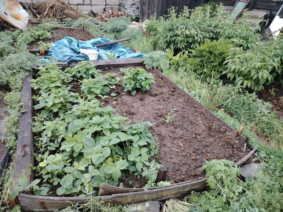 Дом в Лесхозе Экибастуз