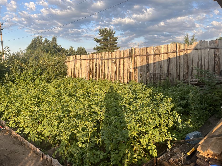 Продам дачу 6 общ 17 дачи