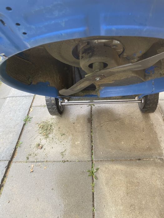 Косачка паркова