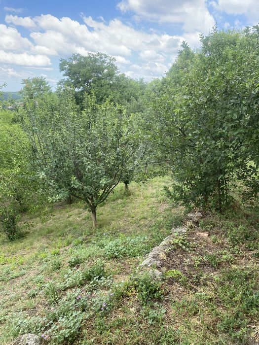 Продава се Къща в с. Брестовица, Област Русе - 100 кв.м за 128 €/кв.м - Снимка #11