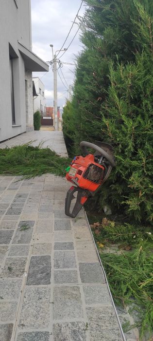 Întreținere spatii verzi