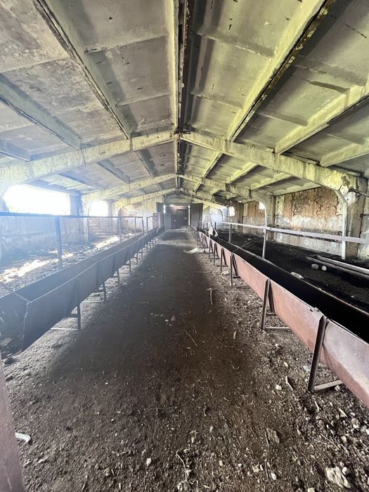 Продам базу р Курайлы