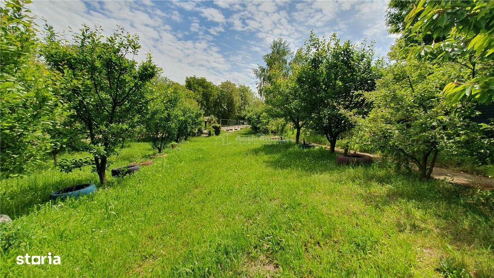 Teren intravilan - 2400 mp - 3 cabane din lemn modulare - Lisaura