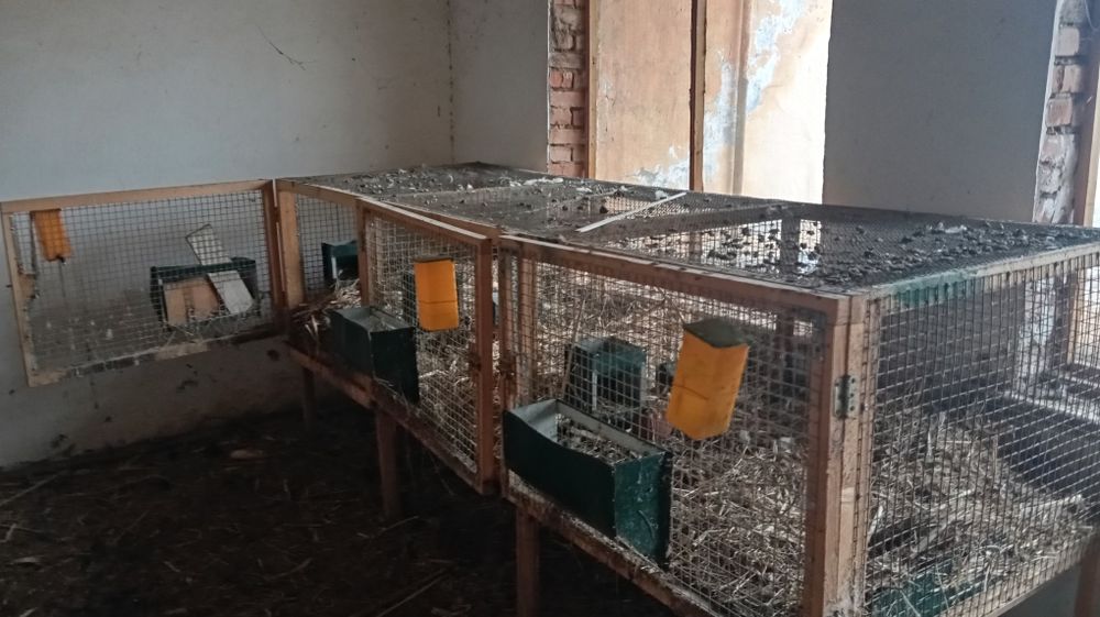 Вольер сотилади куен ва товук учун