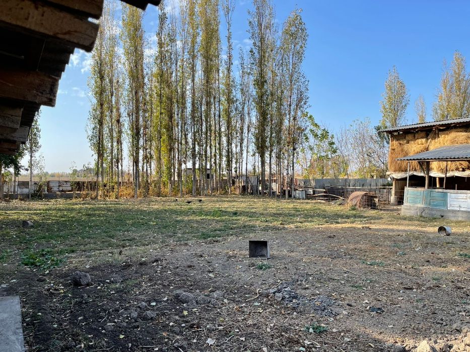 Уй сотилади 13 соток