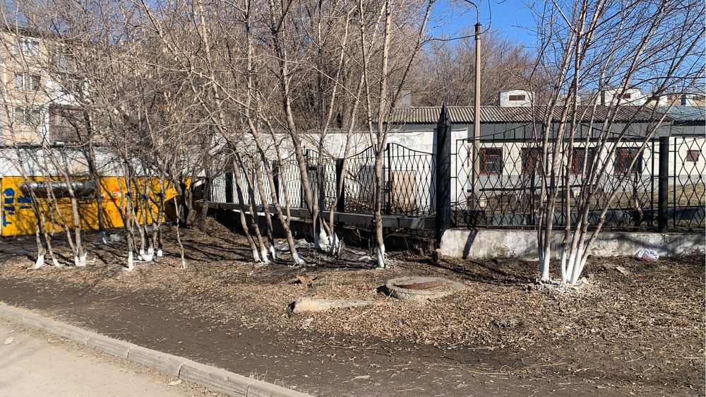 Спил подрезка деревьев