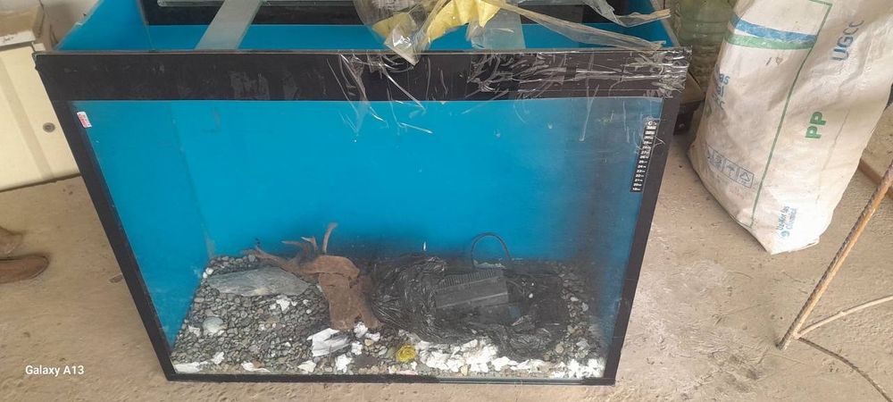 Akvarium sotiladi tezda