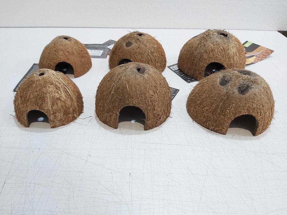 Декорация за терариум