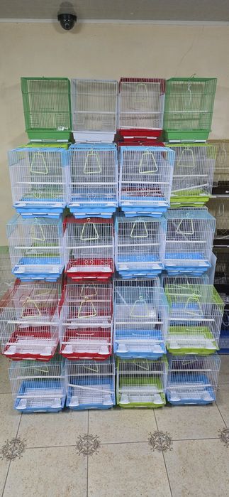 Попугай комбо комплект