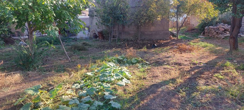 Quruq erni o'zi sotama