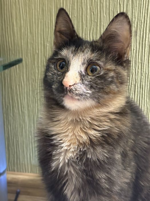 Только ответственным