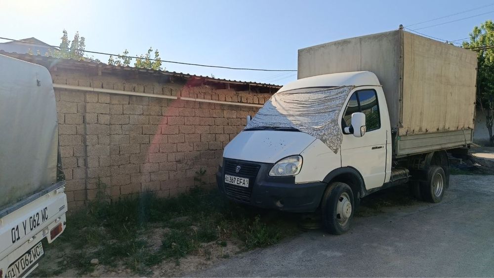 Gazel sotiladi газел сотилади
