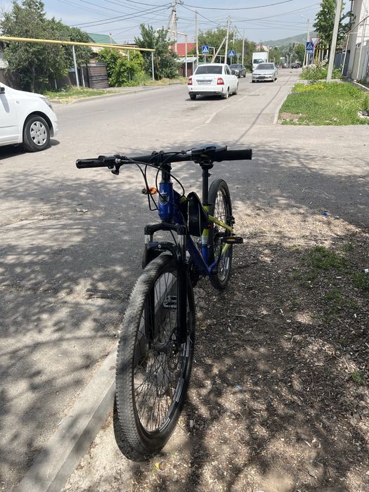 Space fish смела звандаңдар