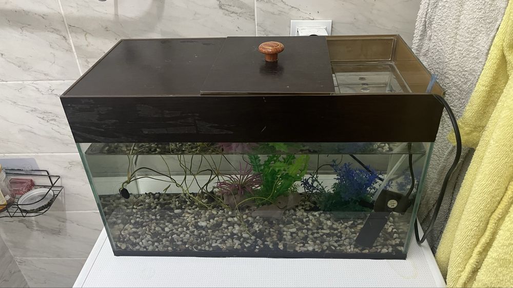 Аквариум с рыбками