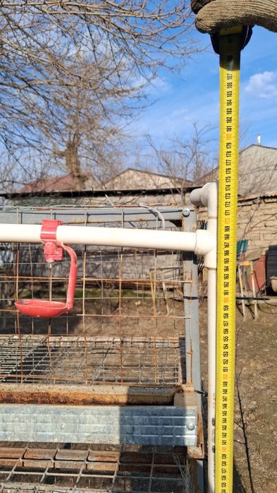 Tovuq Katak Sotiladi