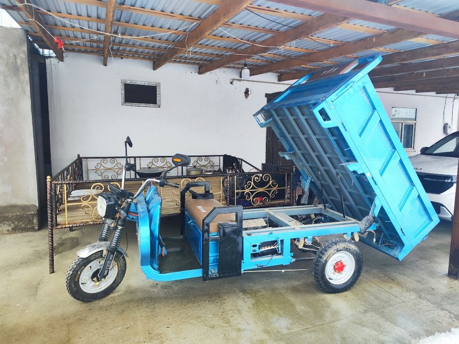 Электр муравей сатылады