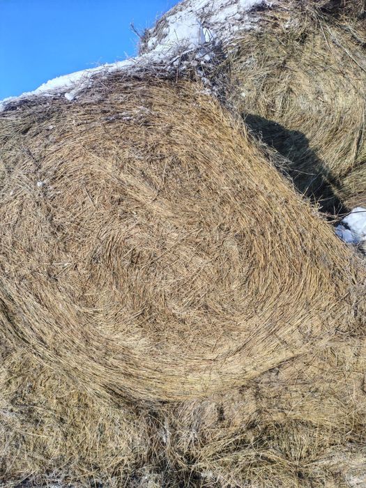 В продаже сено. Доставка.