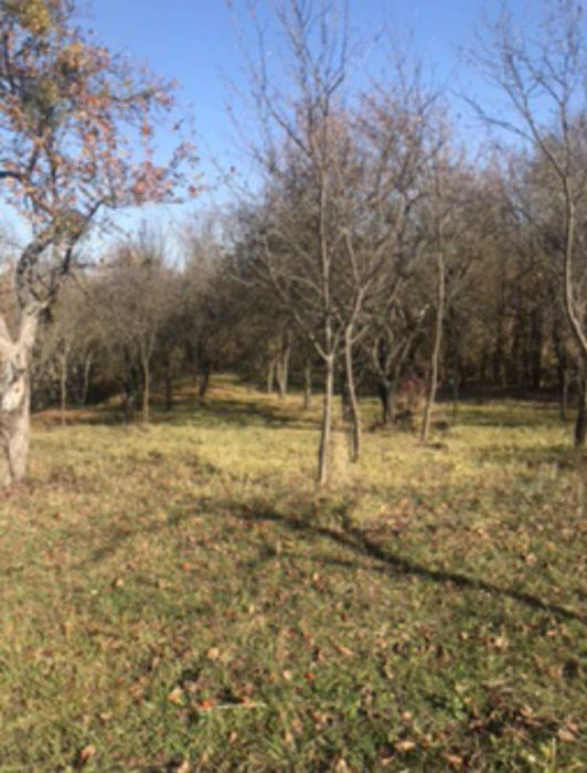 Conac de vânzare în stana