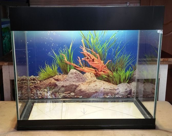 Аквариум для рыб