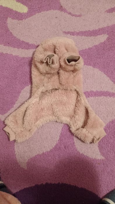 Одежда для собаки