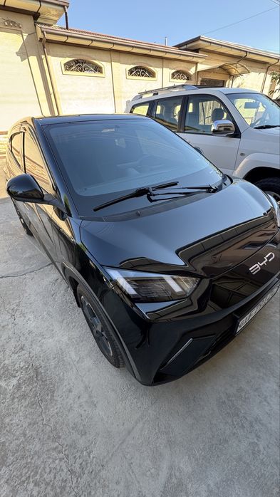 Byd seagull 2023