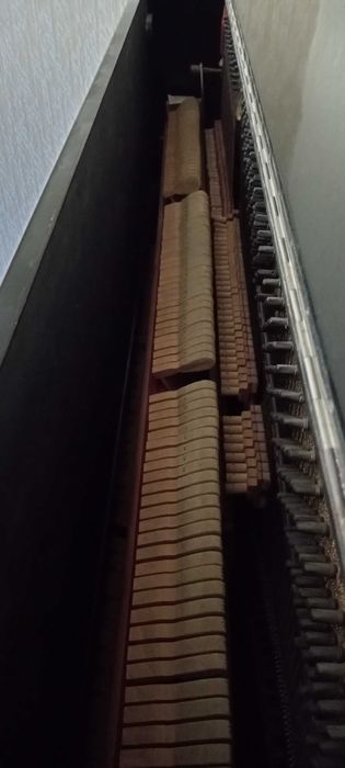 Фортепиано  струнный-ударно-клавишный музыкальный инструмент.