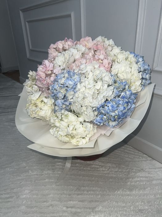 свежие гортензии …