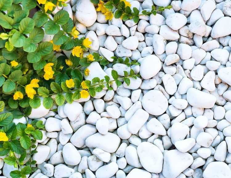 Камень декоративный белый 1см-6см 20 кг