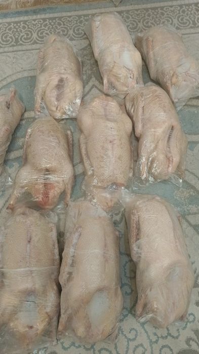 Продается Гусиное мясо