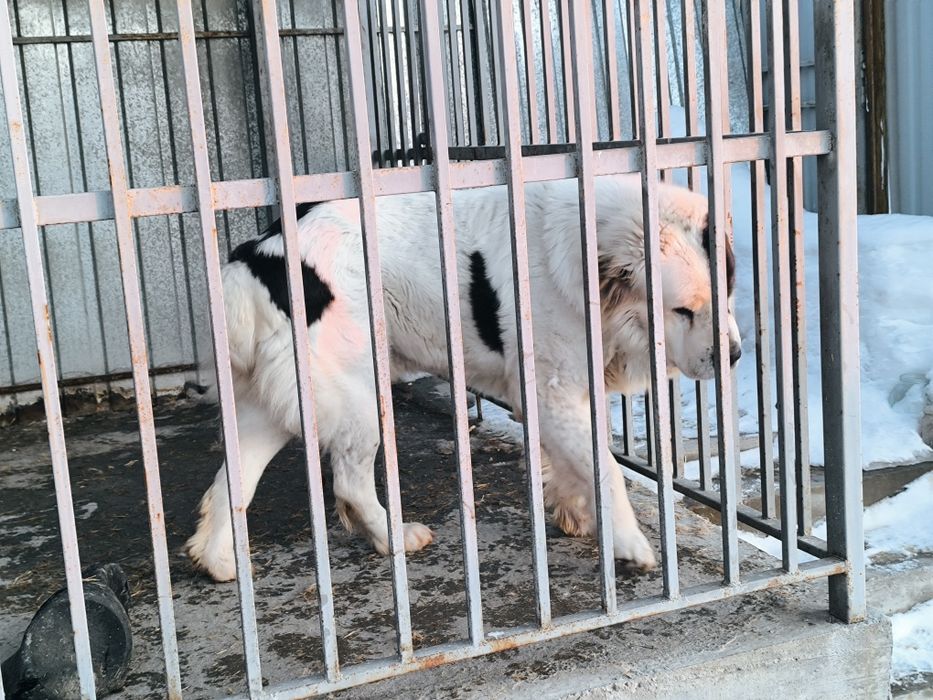 Кабель для вязки