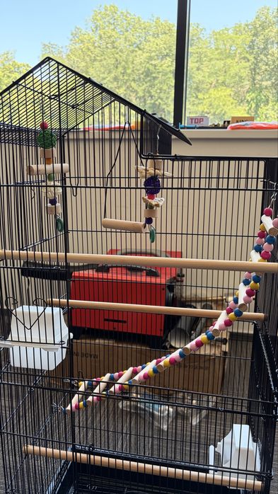 Colivie papagali cu accesorii