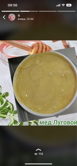 Мед майский