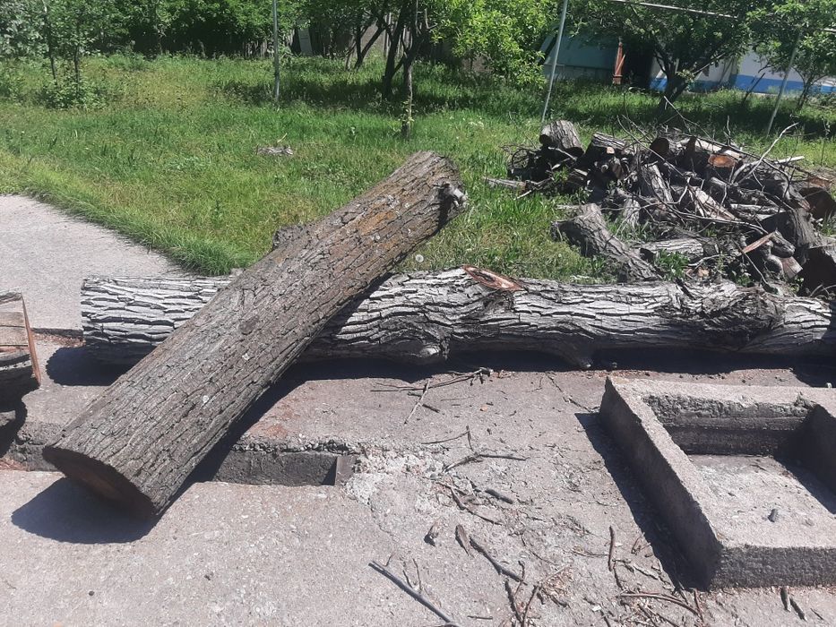 Продам дрова орех