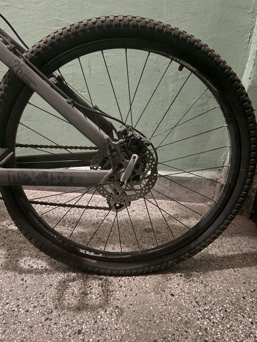 Cross dexter 26 цола