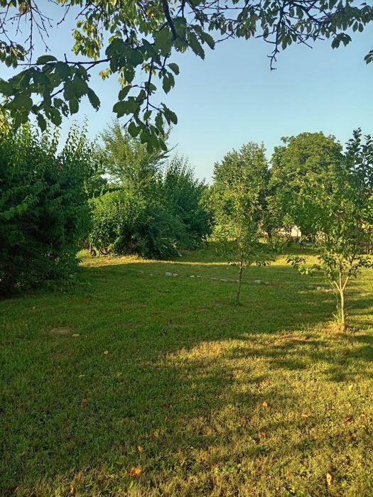 Casă batraneasca teren 700 mp